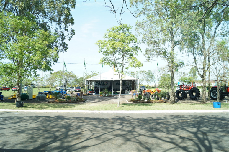 Domingo no Parque: CAAL recebe associados e autoridades