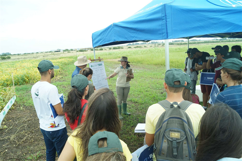 Roteiro Técnico CAAL e parceiros