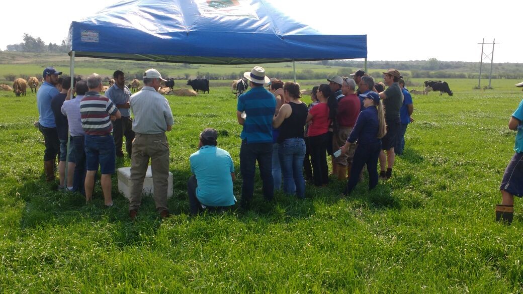 CAAL e CCGL promovem tarde de campo e encontro com produtores