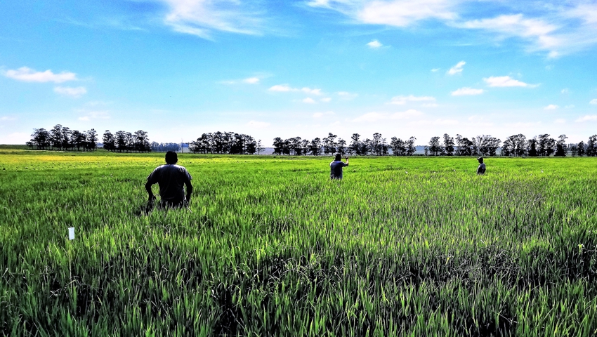 Dia de campo CAAL 2019