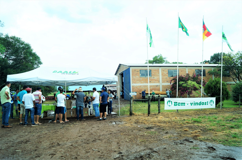 Dia de Campo CAAL 2019 foi um sucesso