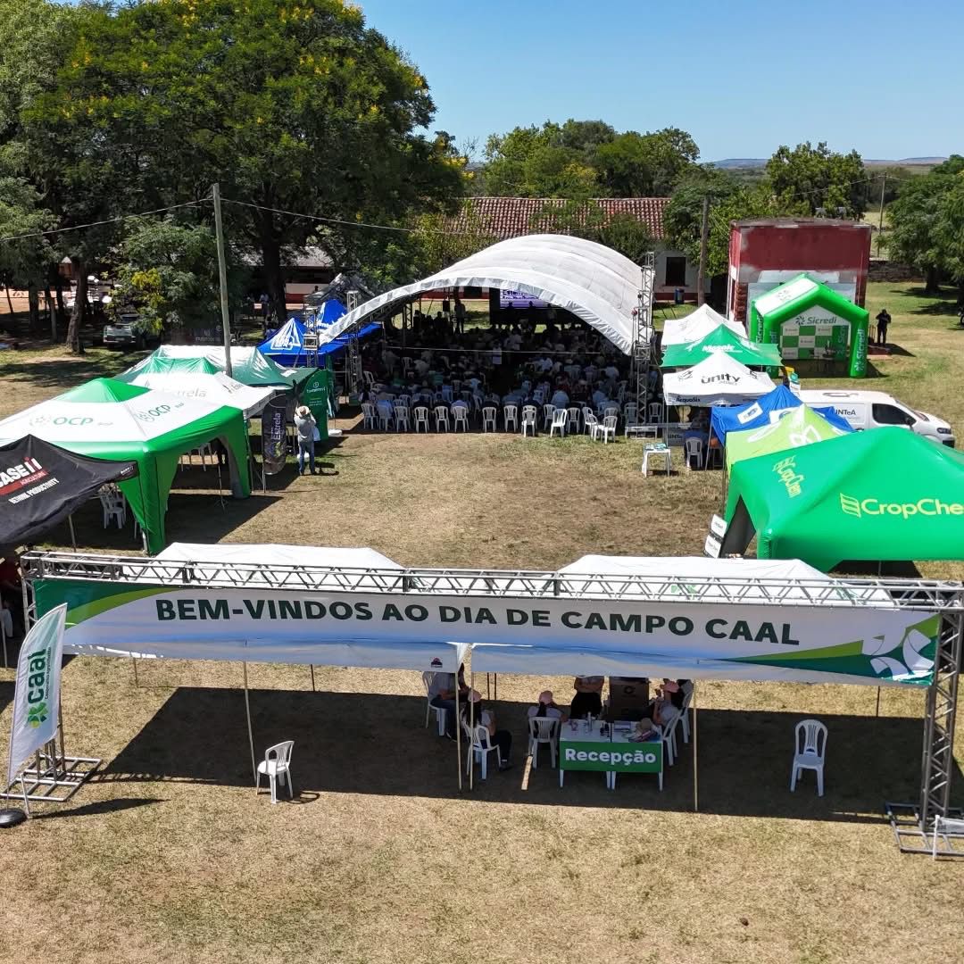 Dia de Campo CAAL 2025