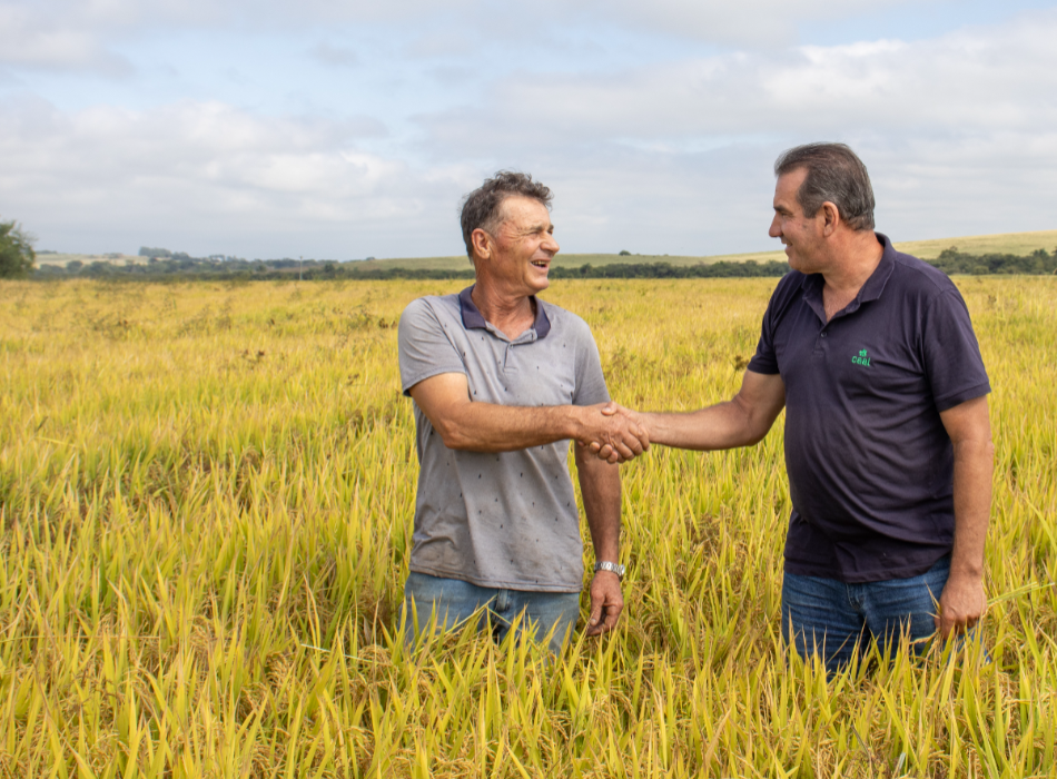 Informações Quem Somos